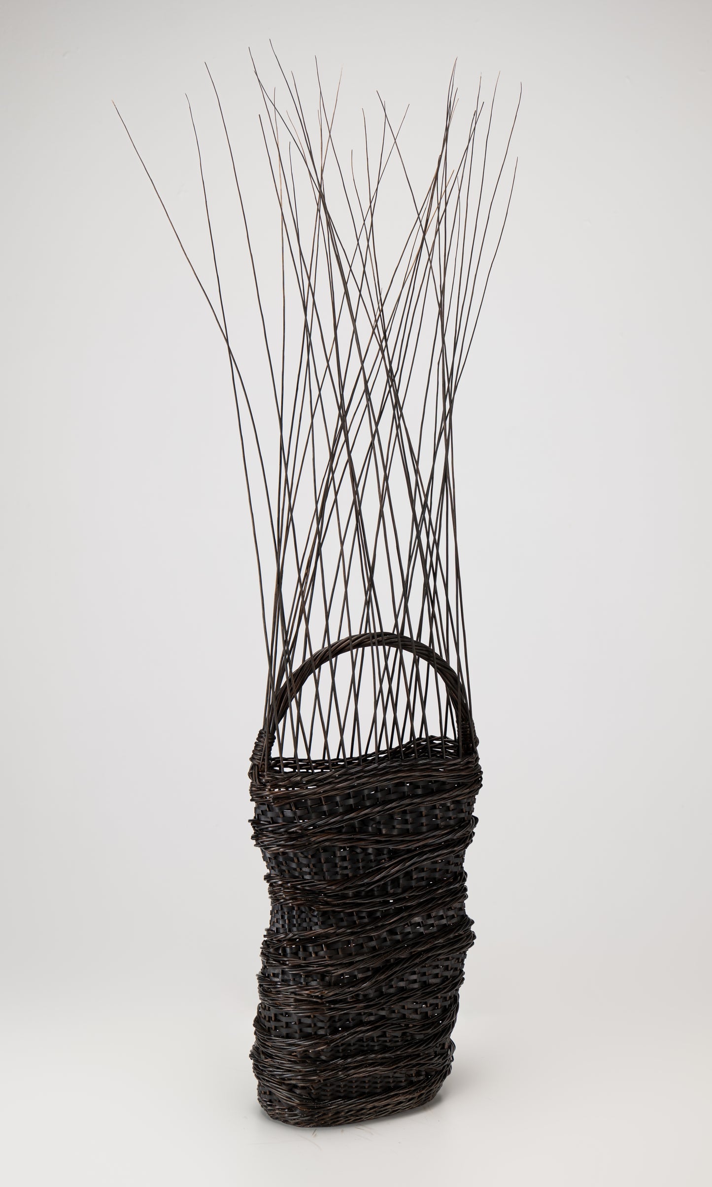 Fields Between Basket