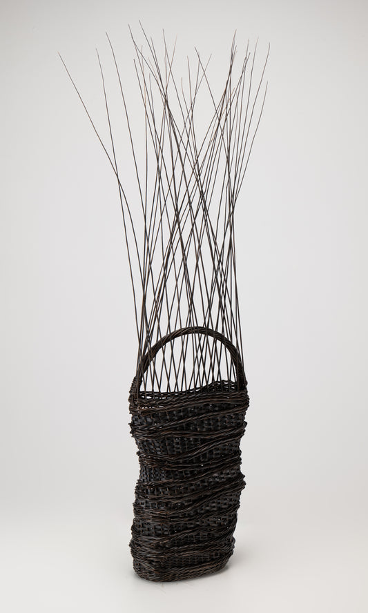 Fields Between Basket